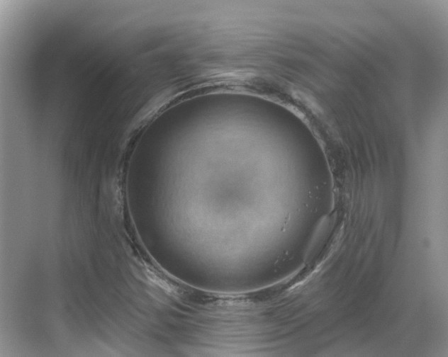 X0000068821354200605081134