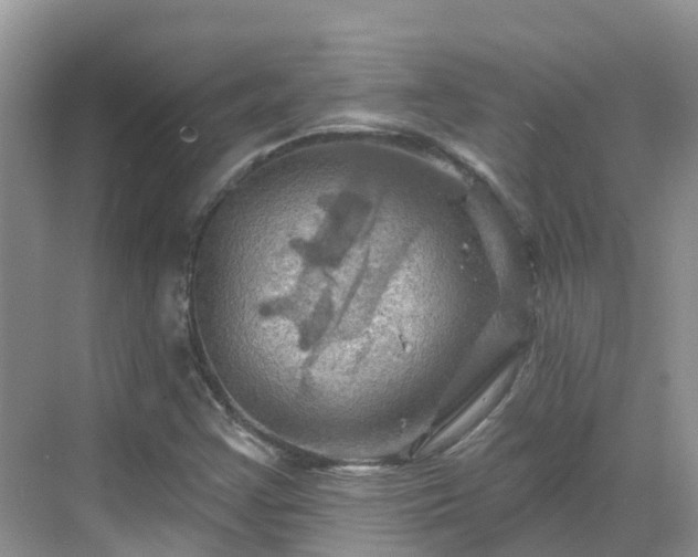 X0000068821355200605081134