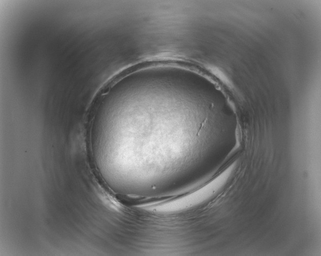 X0000068821356200605081134