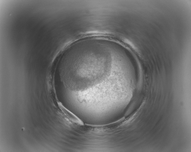 X0000068821357200605081134