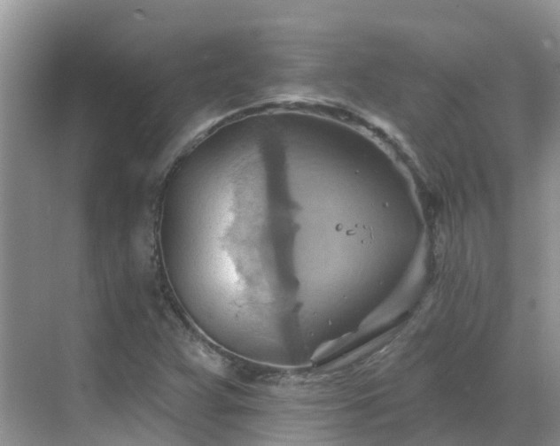 X0000068821359200605081134