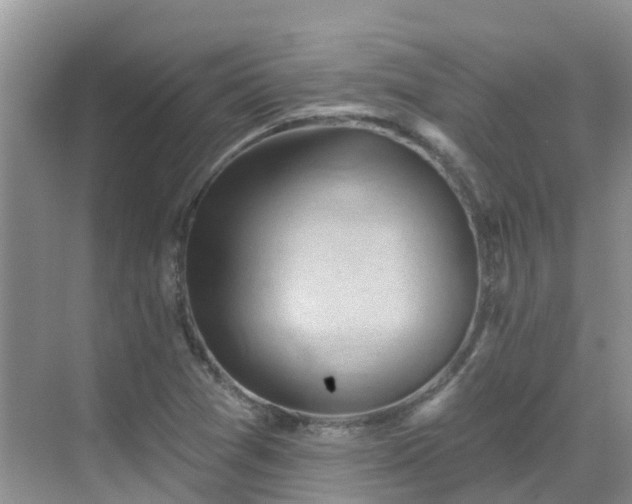 X0000068821361200605081134