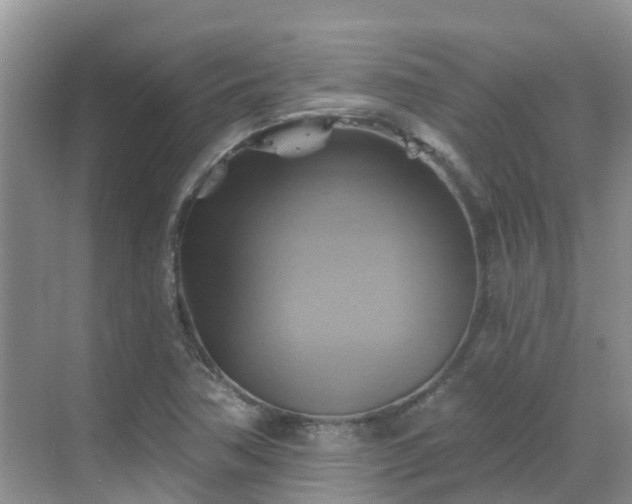 X0000068821362200605081134