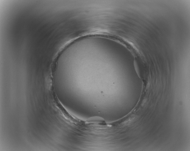 X0000068821363200605081134