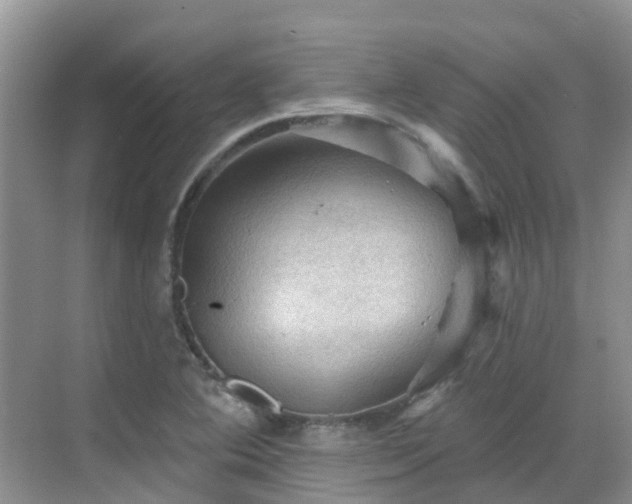 X0000068821364200605081134