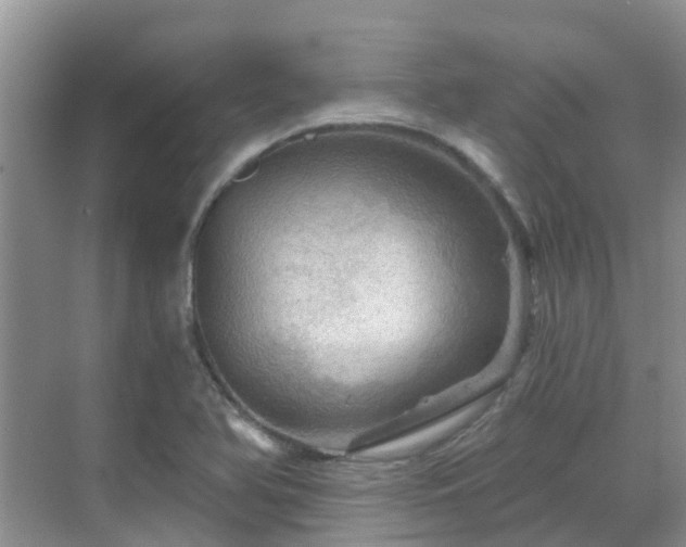 X0000068821366200605081134