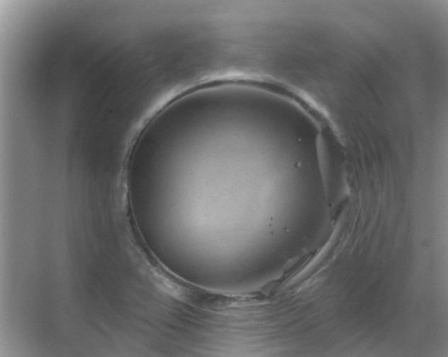 X0000068821367200605081134