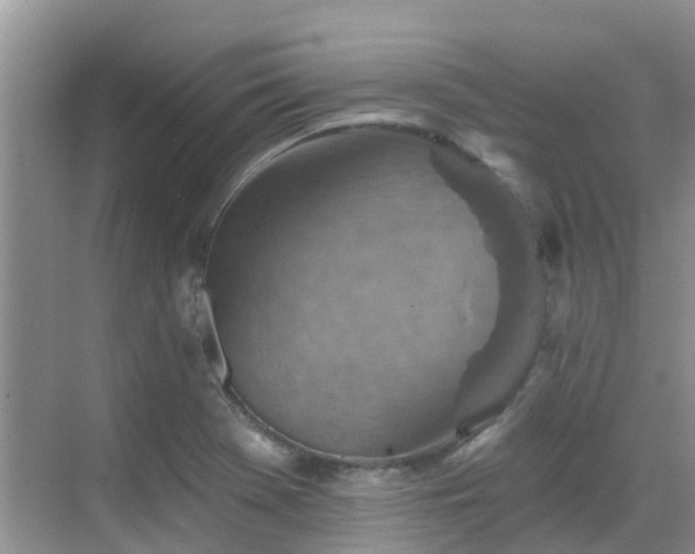 X0000068821369200605081134