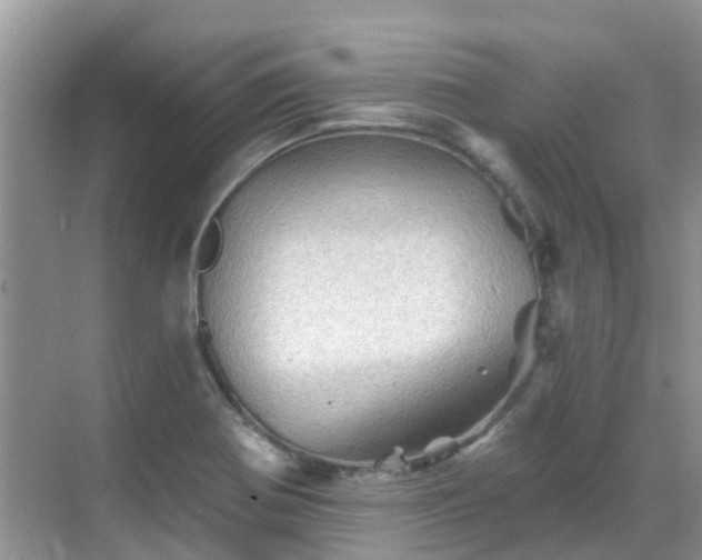 X0000068821370200605081134