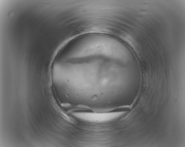 X0000068821371200605081134