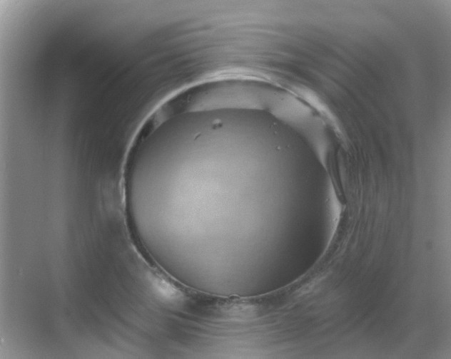 X0000068821372200605081134