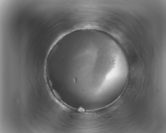 X0000068821374200605081134