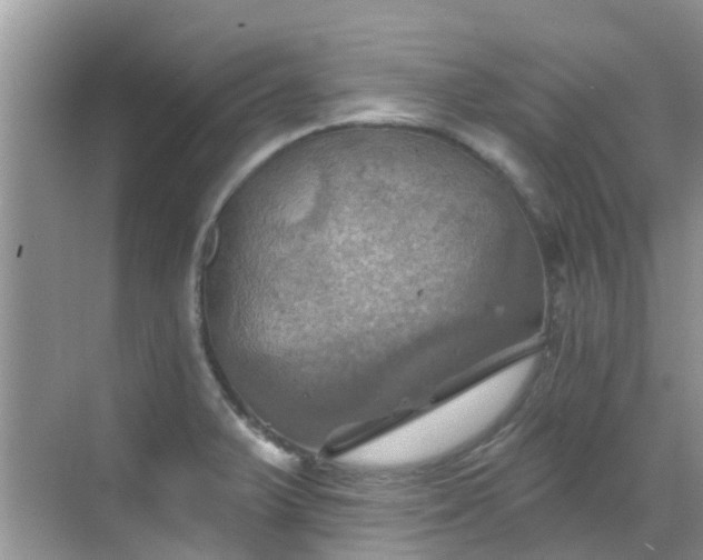 X0000068821375200605081134