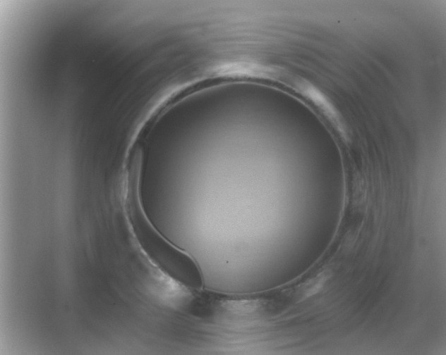 X0000068821376200605081134