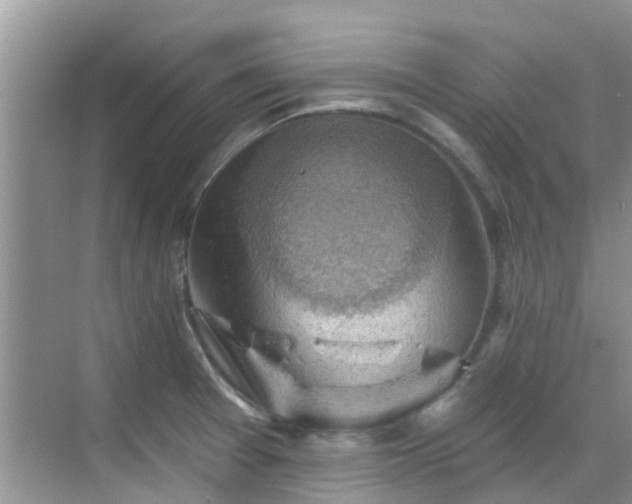 X0000068821377200605081134