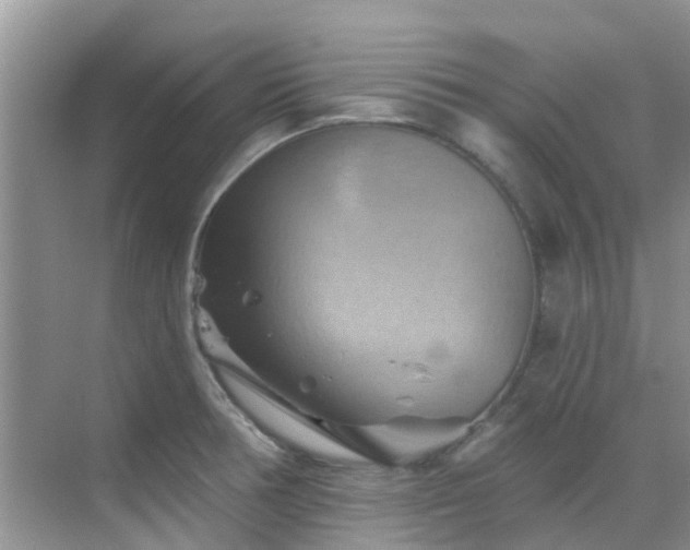 X0000068821378200605081134