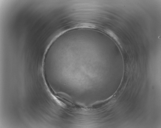 X0000068821379200605081134