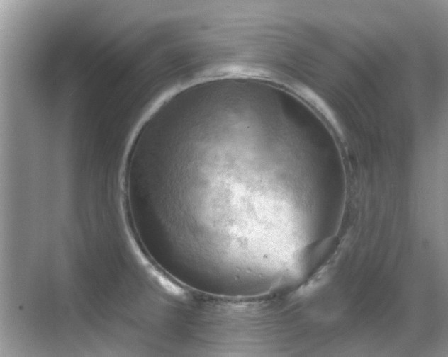 X0000068821381200605081134