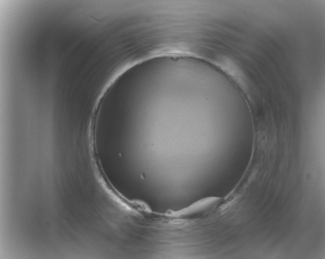 X0000068821382200605081134