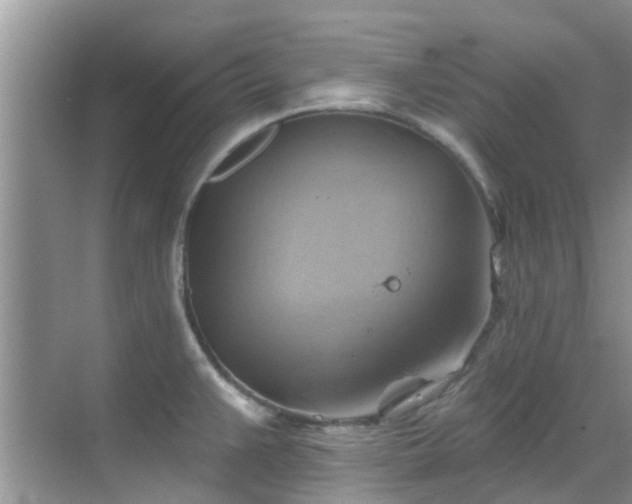 X0000068821383200605081134