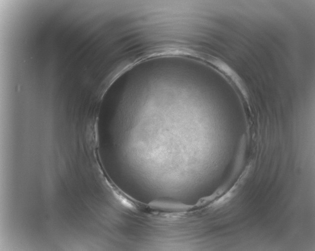 X0000068821385200605081134