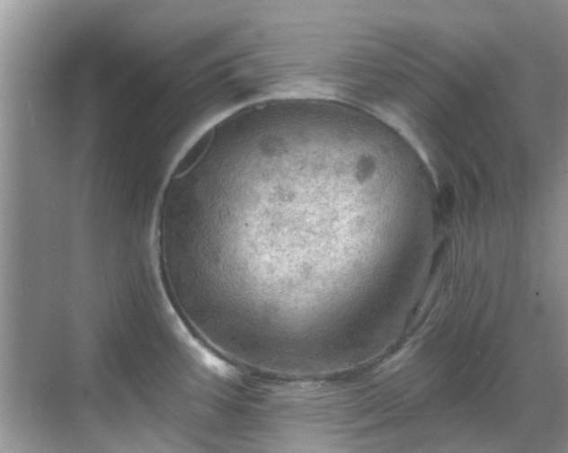 X0000068821387200605081134