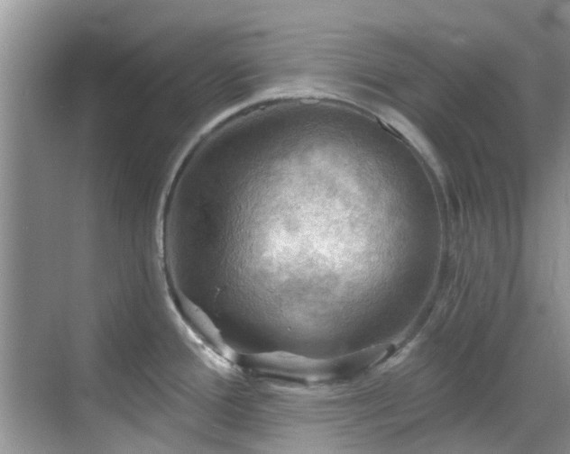 X0000068821388200605081134