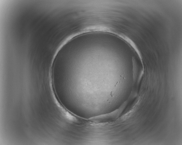 X0000068821389200605081134