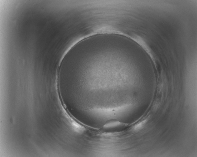 X0000068821390200605081134