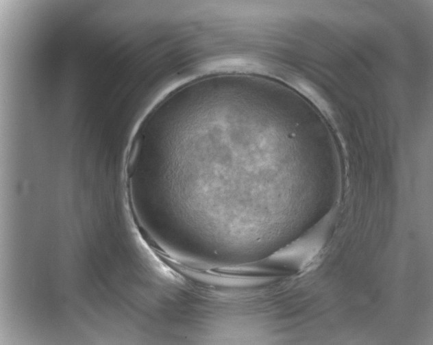 X0000068821392200605081134