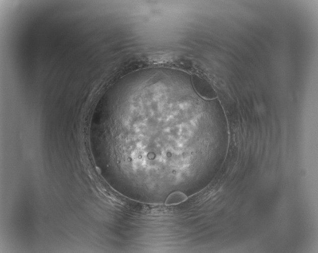 X0000068821393200605081133