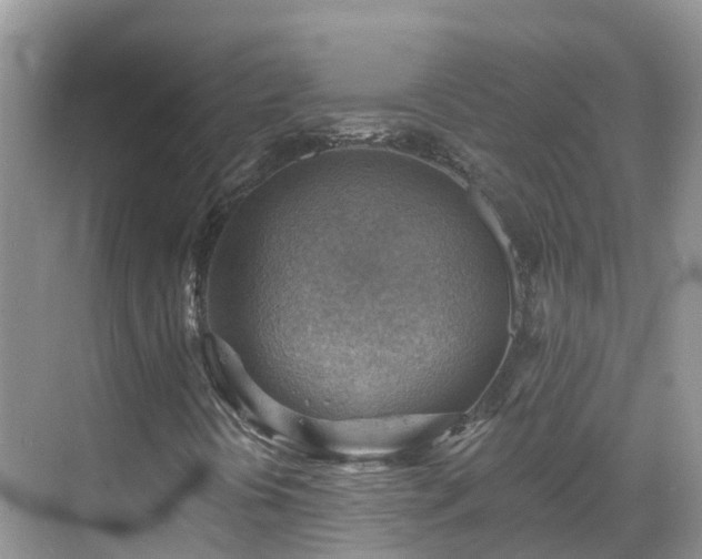 X0000068821394200605081133