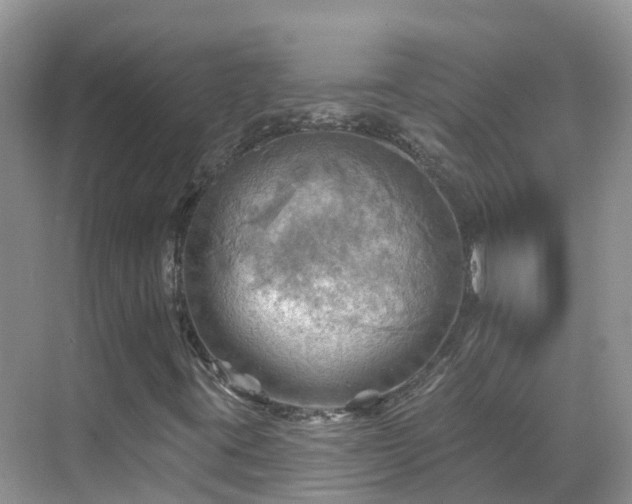 X0000068821395200605081133