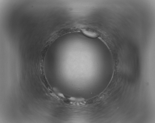 X0000068821397200605081133