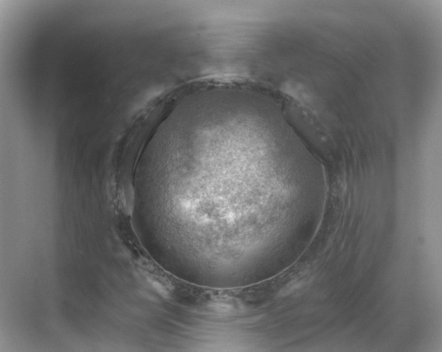 X0000068821398200605081133