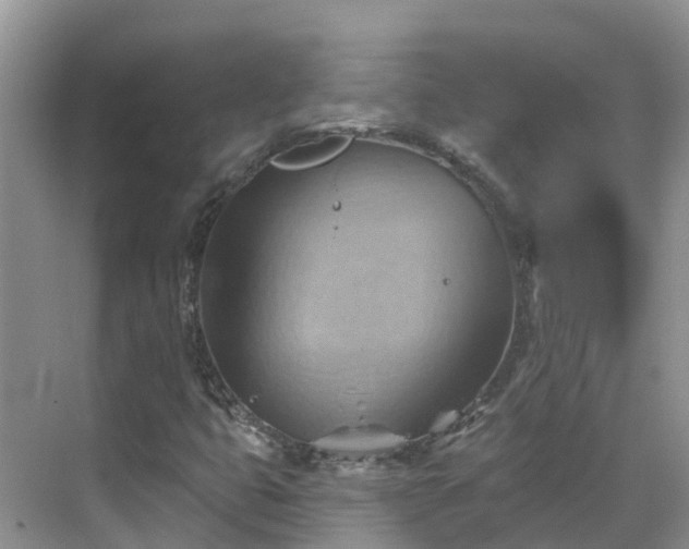 X0000068821399200605081133