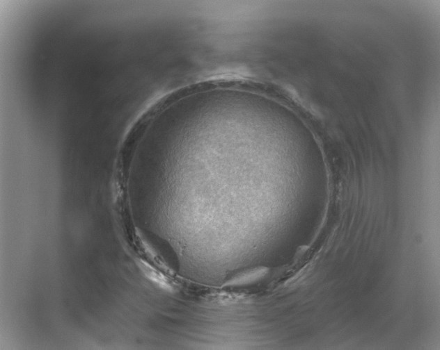 X0000068821400200605081133