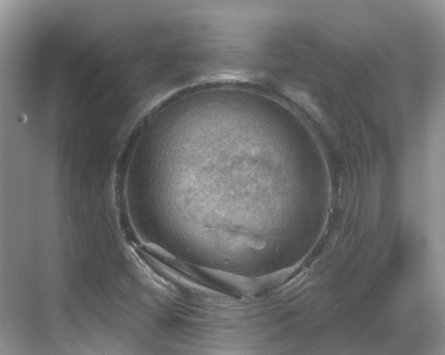 X0000068821404200605081133