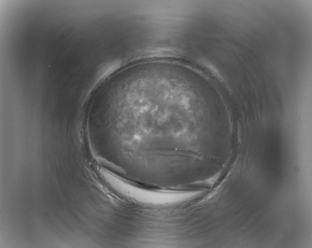 X0000068821405200605081133