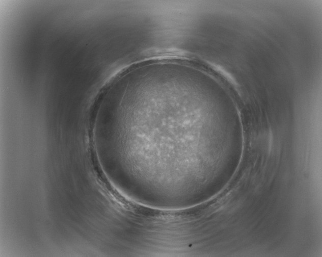 X0000068821407200605081133