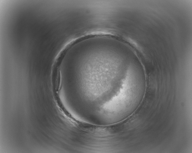 X0000068821408200605081133