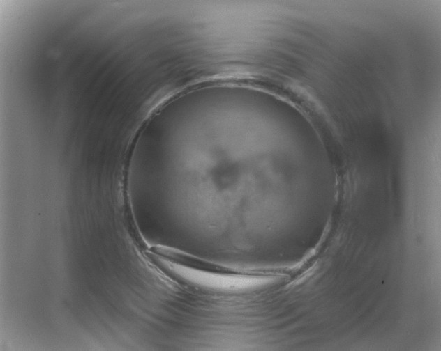 X0000068821409200605081133