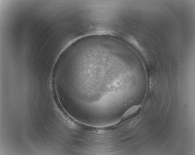 X0000068821412200605081133