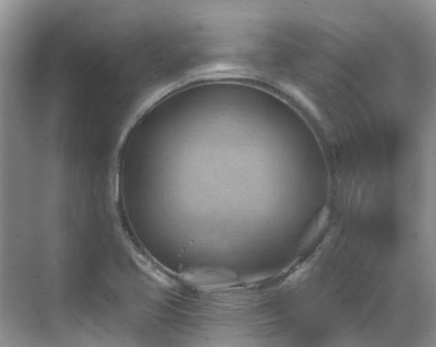 X0000068821413200605081133