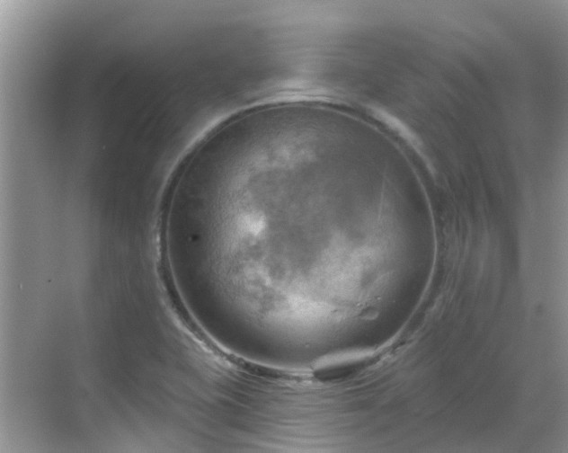 X0000068821415200605081133