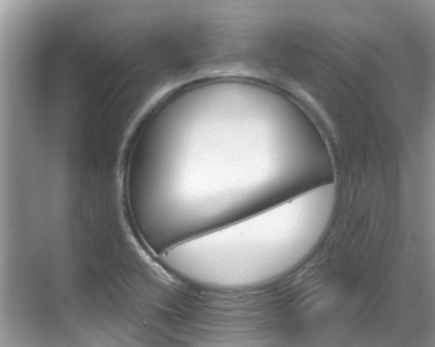 X0000068821416200605081133