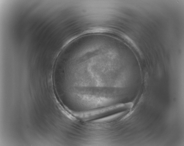 X0000068821417200605081133