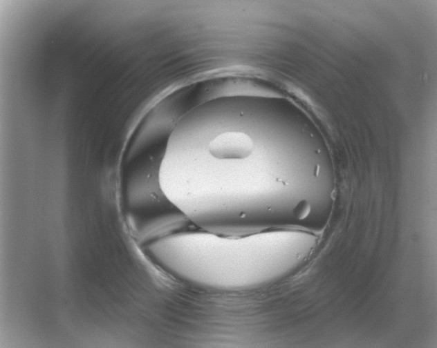 X0000068821418200605081133