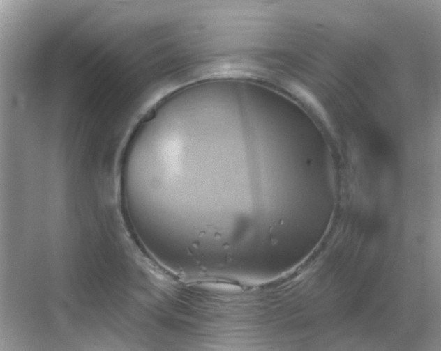 X0000068821419200605081133