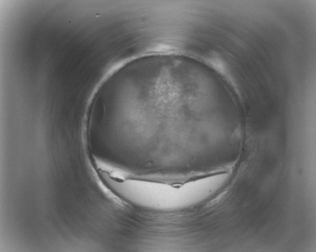 X0000068821421200605081133